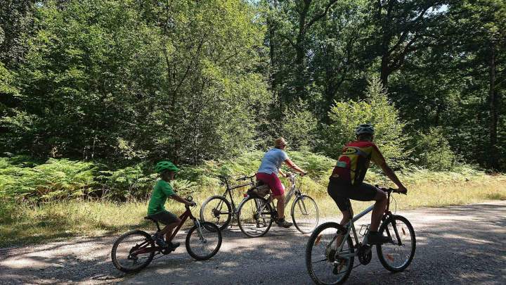 Randonnée VTT Marne 