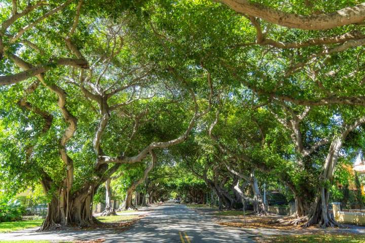 Chalet camping Marne